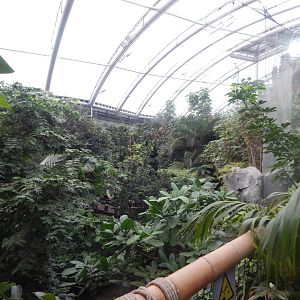 Islands - Monsoon Forest 221022