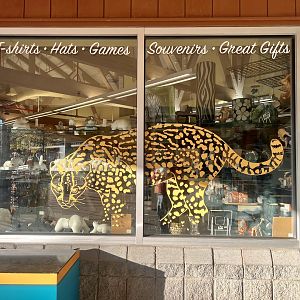 Gift Shop Ocelot