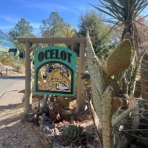 Ocelot Enclosure Sign