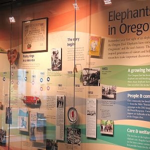 Forest Hall in Elephant Lands