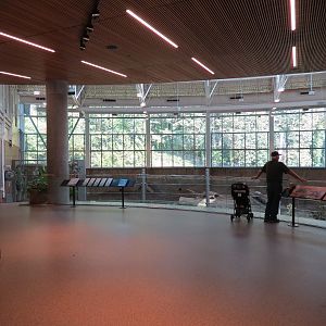 Forest Hall in Elephant Lands