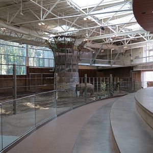 Forest Hall in Elephant Lands