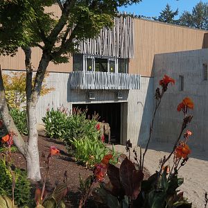 Forest Hall in Elephant Lands