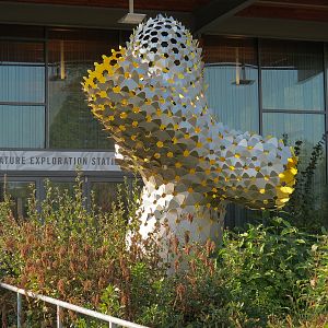 Nature Exploration Station