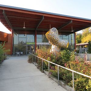 Nature Exploration Station