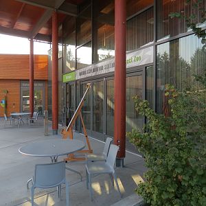 Nature Exploration Station