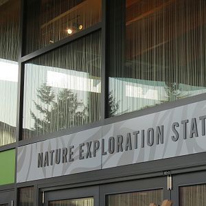 Nature Exploration Station
