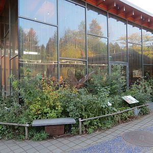 Nature Exploration Station