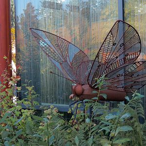 Nature Exploration Station