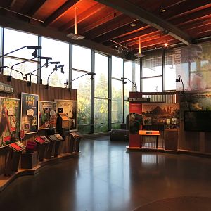 Nature Exploration Station