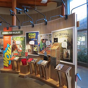 Nature Exploration Station