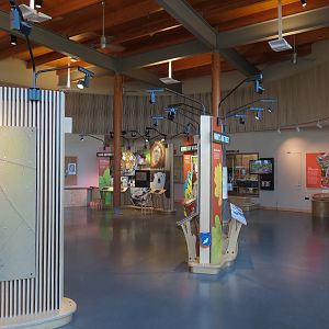 Nature Exploration Station