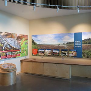 Nature Exploration Station