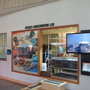 Nature Exploration Station