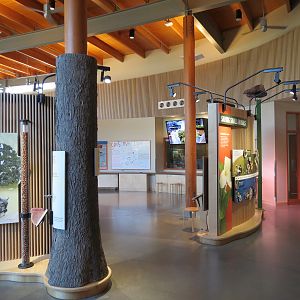 Nature Exploration Station