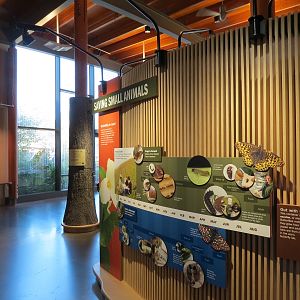 Nature Exploration Station