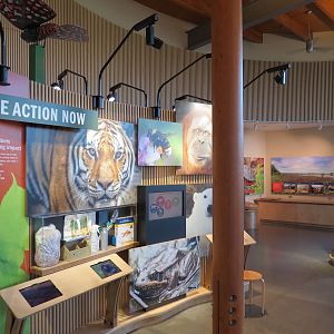 Nature Exploration Station