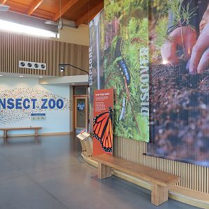 Nature Exploration Station