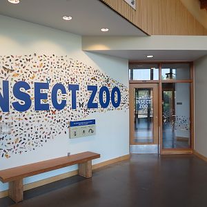 Insect Zoo in Nature Exploration Station