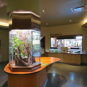 Insect Zoo in Nature Exploration Station