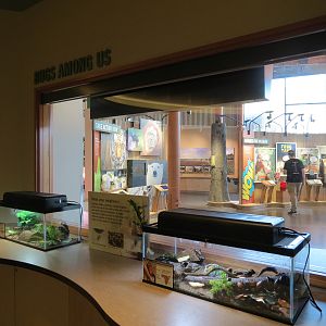 Insect Zoo in Nature Exploration Station