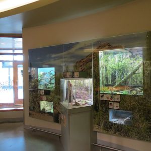 Insect Zoo in Nature Exploration Station