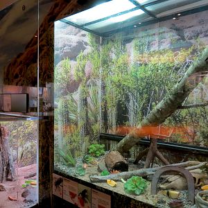 Insect Zoo in Nature Exploration Station