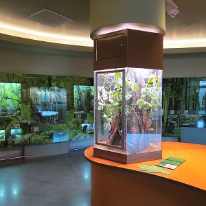 Insect Zoo in Nature Exploration Station