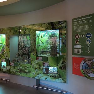 Insect Zoo in Nature Exploration Station