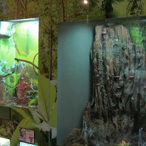 Insect Zoo in Nature Exploration Station