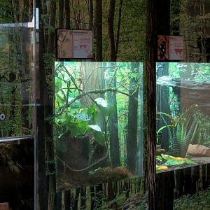 Insect Zoo in Nature Exploration Station