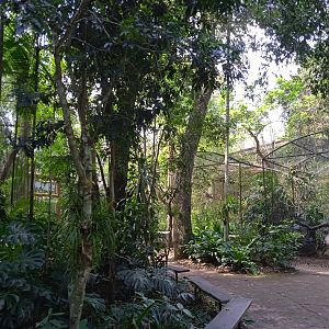 Currassow aviaries