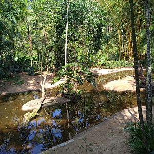 Caiman enclosure