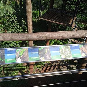 Specie sign in the Cecropia aviary