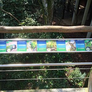 Specie sign in the Cecropia aviary