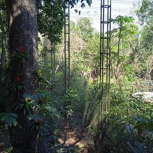 Outside the Cecropia aviary