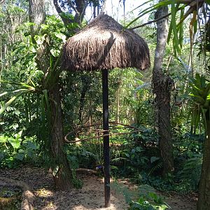 Former macaw exhibits