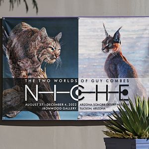 Current Art Exhibition