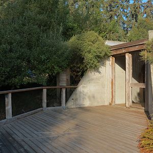 Muskox Exhibit 1 - Viewing Area