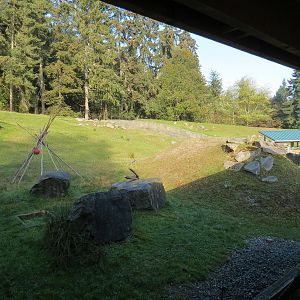 Muskox Exhibit 1