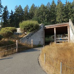 Muskox Exhibit 1 - Viewing Area