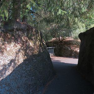 Muskox Exhibit 2 - Viewing Area