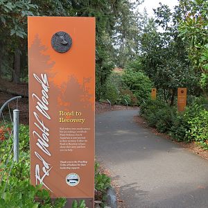 Red Wolf Woods - Entrance