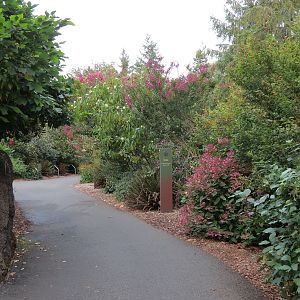 Red Wolf Woods - Visitor Path