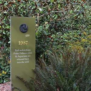 Red Wolf Woods - Path Graphics