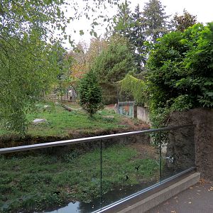 Red Wolf Woods - Exhibit 1 - Viewing Area