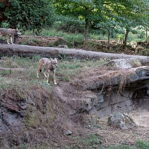 Red Wolf Woods - Exhibit 1