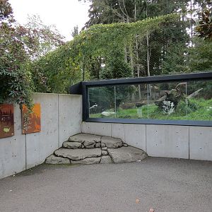 Red Wolf Woods - Exhibit 1 - Viewing Area