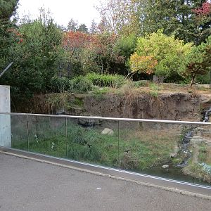 Red Wolf Woods - Exhibit 2 - Viewing Area