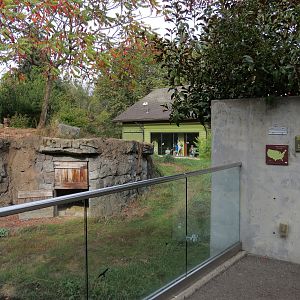 Red Wolf Woods - Exhibit 2 - Viewing Area